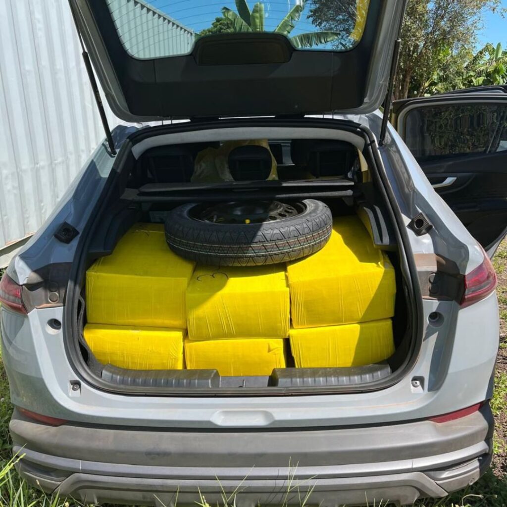 665 kg de maconha, 1,1 kg de skunk e 6,1 kg de haxixe.