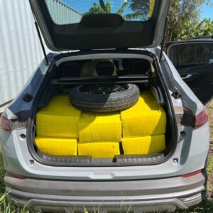 665 kg de maconha, 1,1 kg de skunk e 6,1 kg de haxixe.