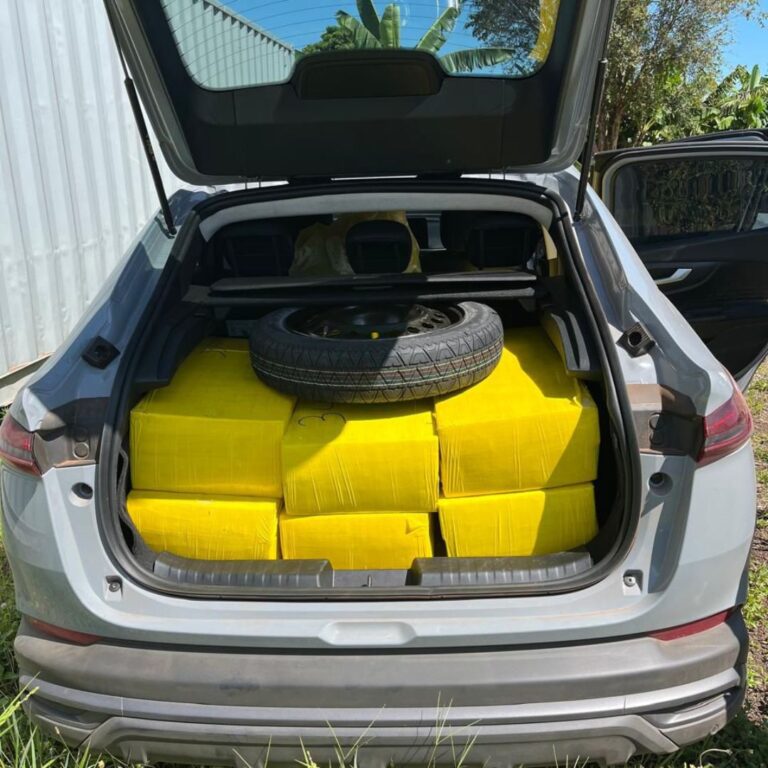 665 kg de maconha, 1,1 kg de skunk e 6,1 kg de haxixe.